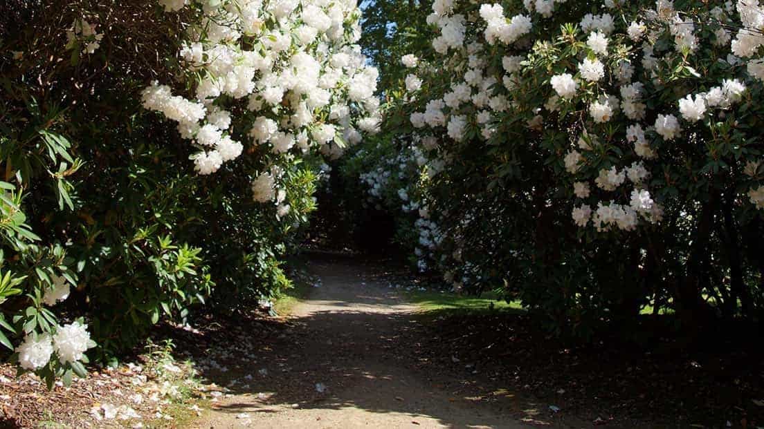 Sheffield Park Gardens